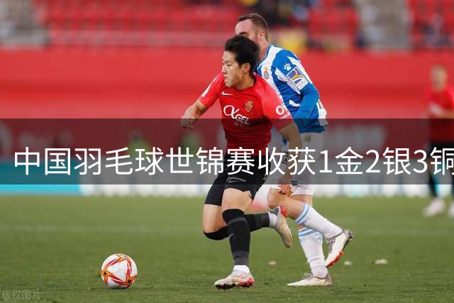 中国羽毛球世锦赛收获1金2银3铜 梁王组合男双夺冠创历史